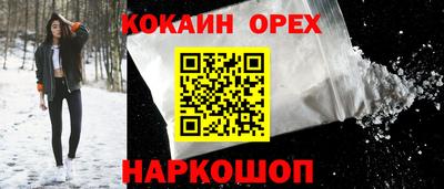 амф Гусев