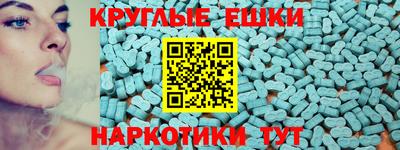 амф Гусев