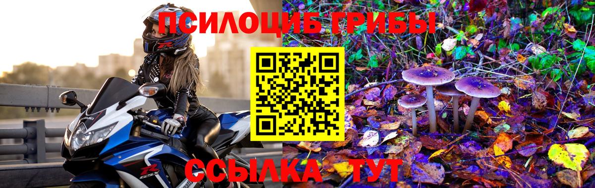 Новотроицк  Галлюциногенные грибы Psilocybine cubensis  Вход с VPN  Галлюциногенные грибы GOLDEN TEACHER 