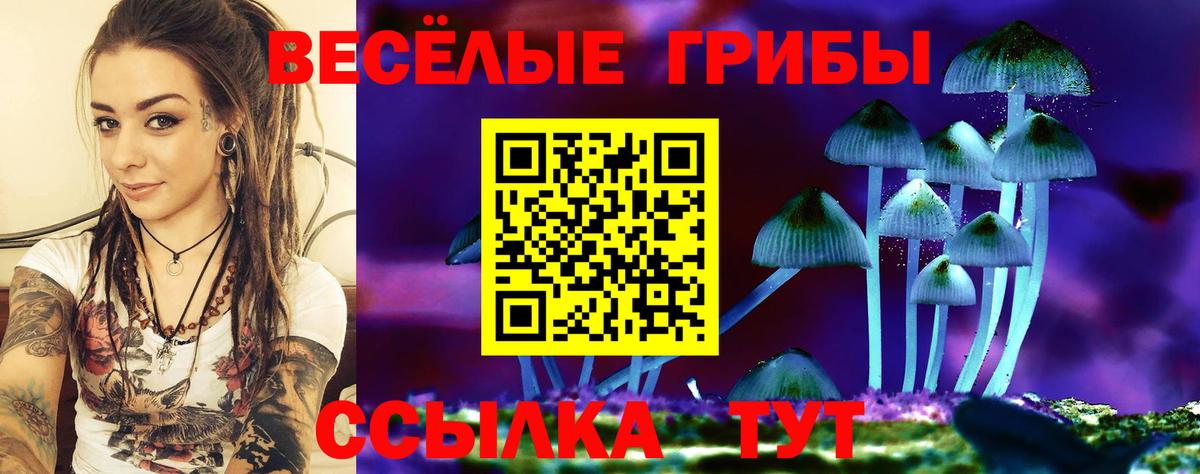 Галлюциногенные грибы GOLDEN TEACHER Новотроицк
